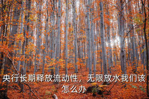 央行長(zhǎng)期釋放流動(dòng)性，無(wú)限放水我們?cè)撛趺崔k