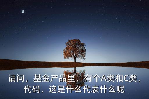 什么是a類(lèi)基金,有個(gè)A類(lèi)和C類(lèi)