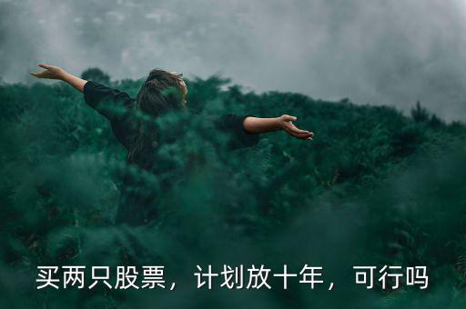 買兩只股票，計劃放十年，可行嗎