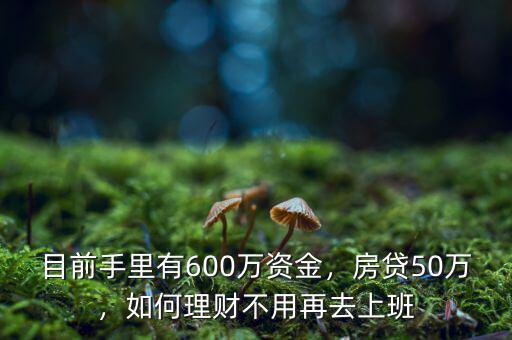 有600萬(wàn)怎么理財(cái),目前手里有600萬(wàn)資金