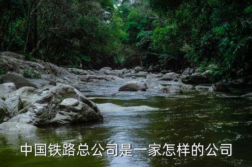 中國鐵路總公司是一家怎樣的公司