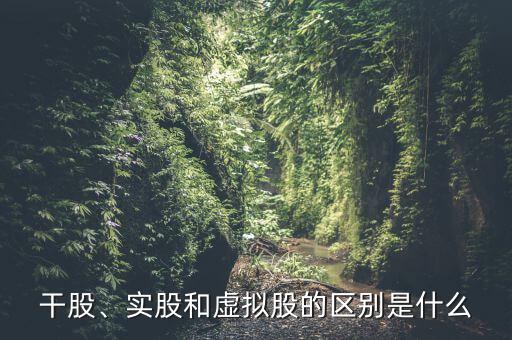 什么是虛擬股權(quán),實股和虛擬股的區(qū)別是什么