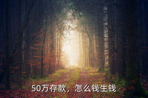 存款50萬怎么理財,本人現(xiàn)有50萬存款