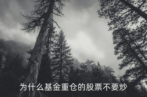 為什么基金重倉的股票不要炒