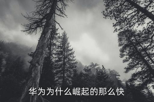 華為為什么會發(fā)展這么快,華為為什么崛起的那么快