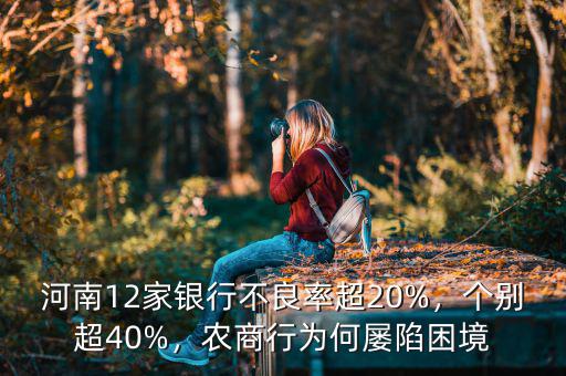 河南12家銀行不良率超20%，個別超40%，農(nóng)商行為何屢陷困境