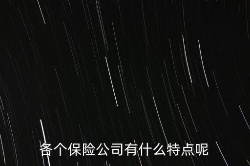 再保險有什么特征,各個保險公司有什么特點呢