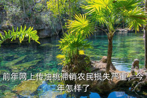 前年網(wǎng)上傳油桃滯銷農(nóng)民損失嚴(yán)重，今年怎樣了