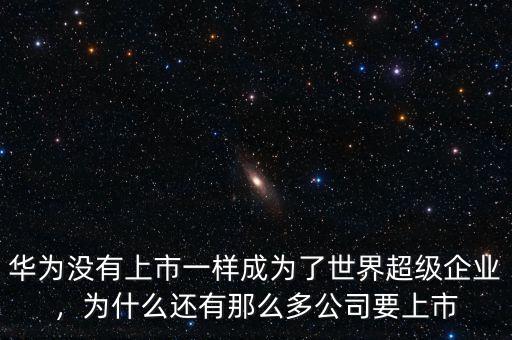 華為沒有上市一樣成為了世界超級企業(yè)，為什么還有那么多公司要上市