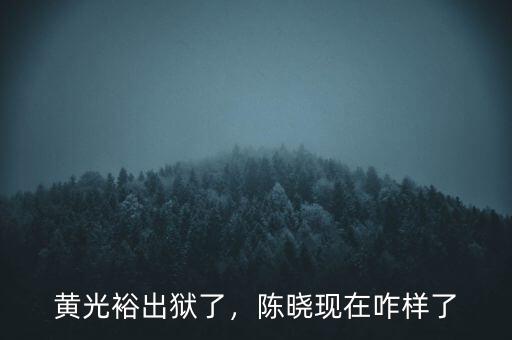 黃光裕出獄了，陳曉現(xiàn)在咋樣了