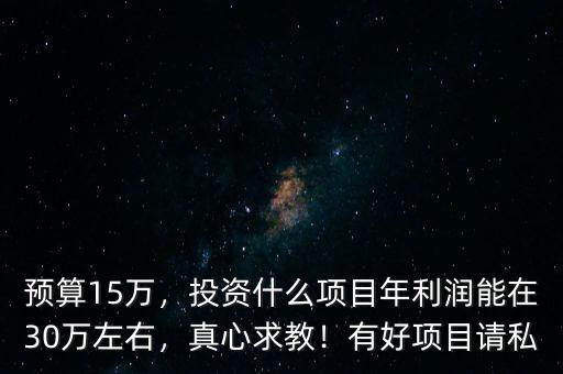 預(yù)算15萬，投資什么項目年利潤能在30萬左右，真心求教！有好項目請私