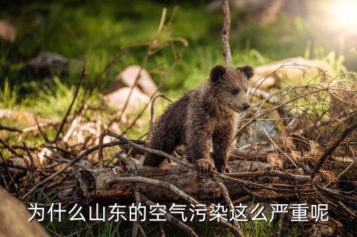 為什么山東的空氣污染這么嚴重呢