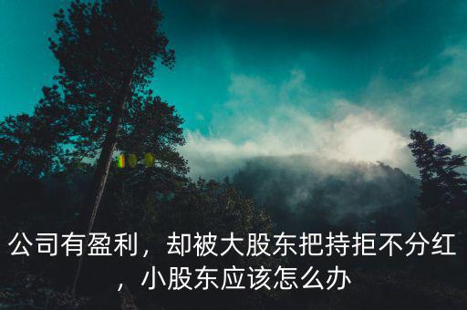 公司有盈利，卻被大股東把持拒不分紅，小股東應(yīng)該怎么辦