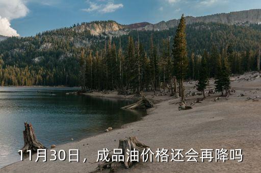 廣東省11月17日汽油下調(diào)多少,11月30日