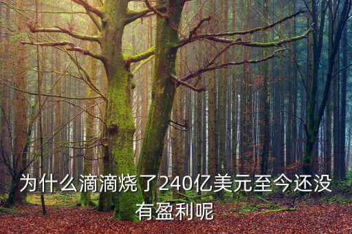 為什么滴滴燒了240億美元至今還沒(méi)有盈利呢