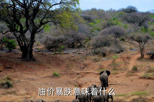 2014年什么時間出現(xiàn)油價暴跌,油價暴跌意味著什么