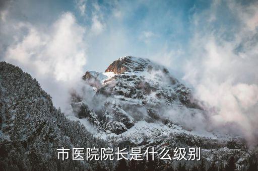 馬建堂什么級(jí)別,監(jiān)獄長(zhǎng)是什么級(jí)別