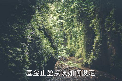 基金止盈點(diǎn)該如何設(shè)定