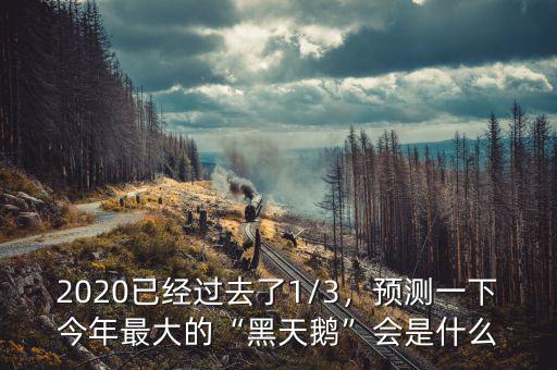 2020已經(jīng)過去了1/3，預(yù)測一下今年最大的“黑天鵝”會是什么