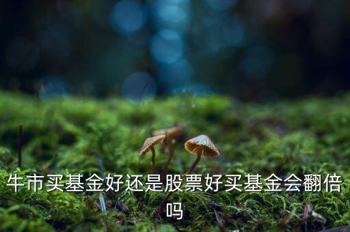 牛市買(mǎi)基金好還是股票好買(mǎi)基金會(huì)翻倍嗎