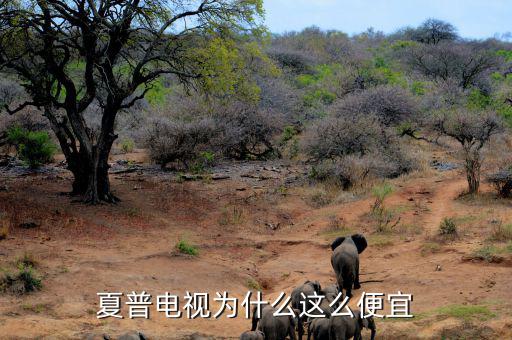 夏普電視為什么這么便宜