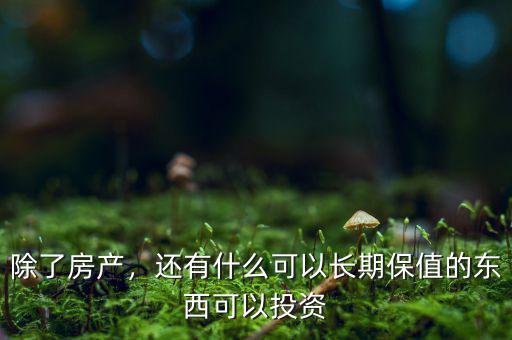 除了房產(chǎn)，還有什么可以長(zhǎng)期保值的東西可以投資