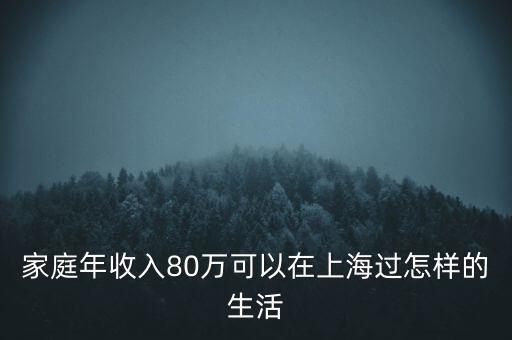 家庭年收入80萬可以在上海過怎樣的生活