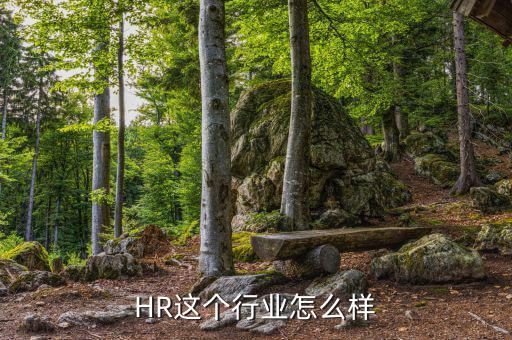 HR這個行業(yè)怎么樣