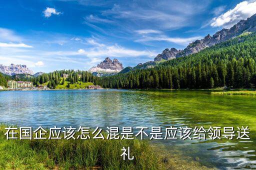 在國企應(yīng)該怎么混是不是應(yīng)該給領(lǐng)導(dǎo)送禮