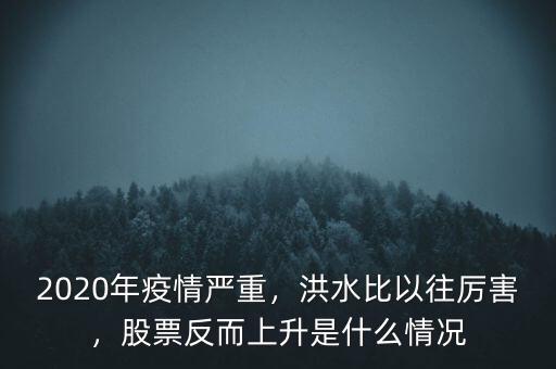 2020年疫情嚴重，洪水比以往厲害，股票反而上升是什么情況