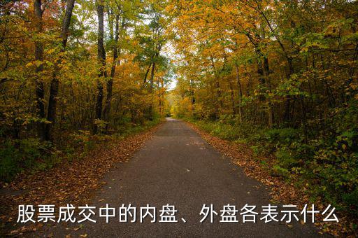 股票什么是內(nèi)盤,股票里的外盤內(nèi)盤是什么意思