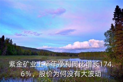 紫金礦業(yè)上半年凈利同比增長174.6％，股價為何沒有大波動