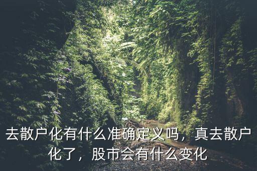 去散戶化有什么準(zhǔn)確定義嗎，真去散戶化了，股市會(huì)有什么變化