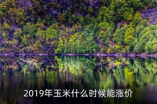 2019年玉米什么時候能漲價