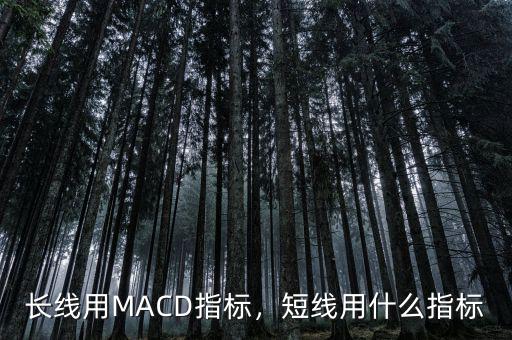 做短線用什么指標,長線用MACD指標