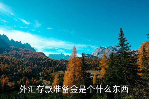 存款準(zhǔn)備金是什么,外匯存款準(zhǔn)備金是個(gè)什么東西