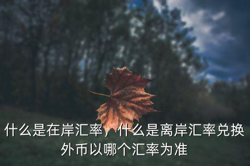 離岸在岸匯率為什么不一樣,為什么匯率不跟網(wǎng)上一樣