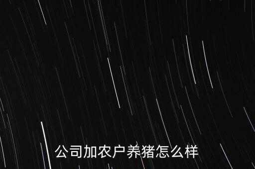 公司加農(nóng)戶養(yǎng)豬怎么樣