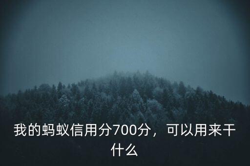 螞蟻信用分怎么辦簽證,芝麻信用分申請新加坡簽證