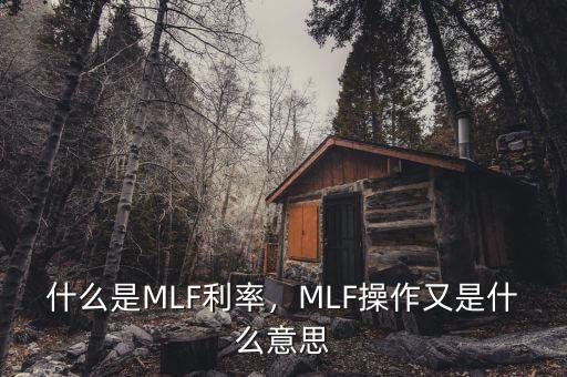 什么是MLF利率，MLF操作又是什么意思