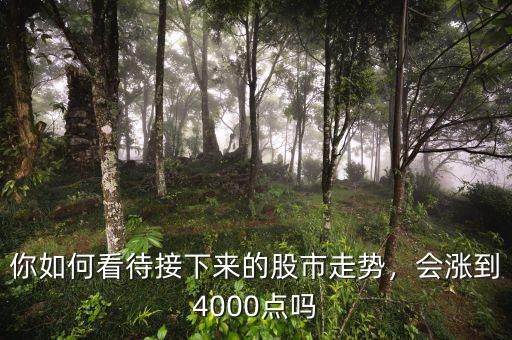 股市4000點是什么意思,會漲到4000點嗎