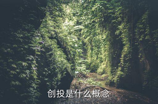 創(chuàng)投是什么概念