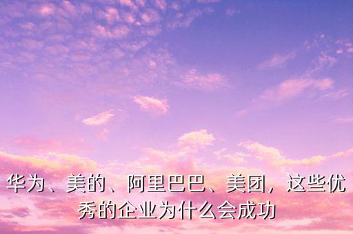 過去的中國企業(yè)為什么能如此成功,這些優(yōu)秀的企業(yè)為什么會成功