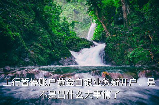 工行暫停賬戶黃金白銀業(yè)務(wù)新開戶、是不是出什么大事情了