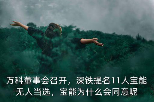 萬科董事會(huì)召開，深鐵提名11人寶能無人當(dāng)選，寶能為什么會(huì)同意呢