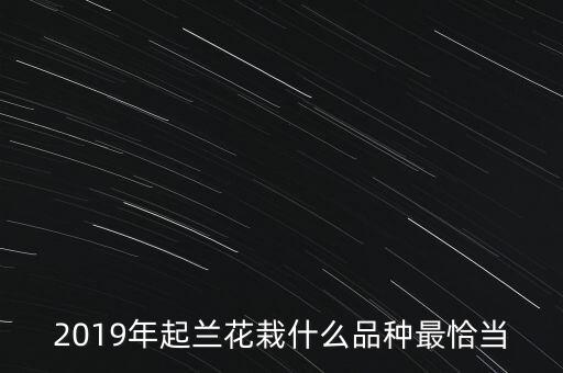 2016年投資什么蘭花好,蘭花什么時(shí)候引種好