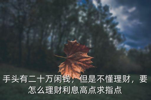 手頭有二十萬閑錢，但是不懂理財，要怎么理財利息高點求指點