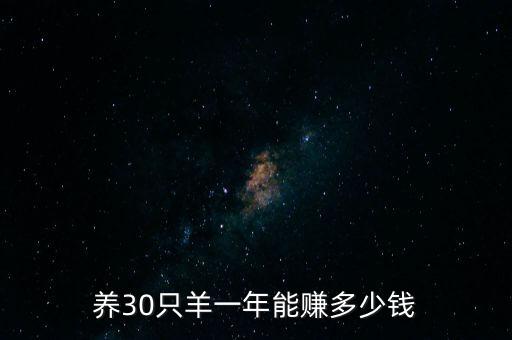 向松祚一年賺多少錢,一年能賺多少錢