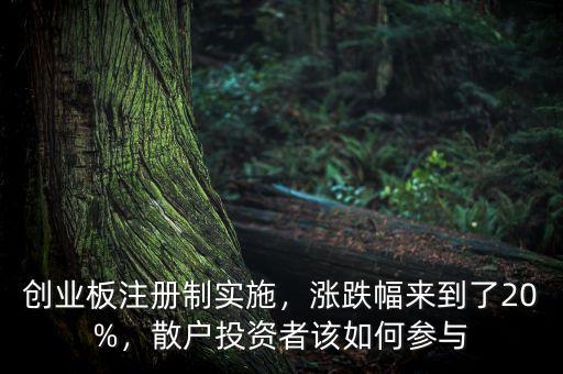 創(chuàng)業(yè)板注冊(cè)制實(shí)施，漲跌幅來到了20%，散戶投資者該如何參與