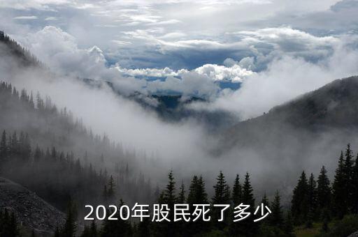 2020年股民死了多少